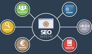 ওয়েবসাইটে এসইও কি করে করব । how to seo website