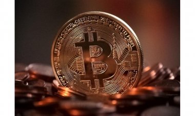 Top 5 Cryptocurrency Apps Of 2022 Which New Traders Must Try