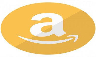 আমাজন সম্পর্কে কিছু মজার তথ্য