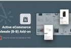 Active eCommerce Wholesale (B-B) Add-on