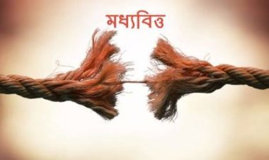 একজন মধ্যবিত্তর গল্প